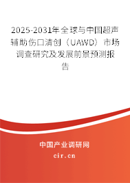 2025-2031年全球與中國超聲輔助傷口清創(chuàng)（UAWD）市場調查研究及發(fā)展前景預測報告