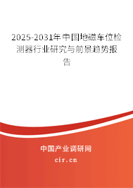 2025-2031年中國地磁車位檢測(cè)器行業(yè)研究與前景趨勢(shì)報(bào)告