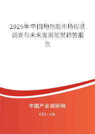 2025年中國地?zé)崮苁袌霈F(xiàn)狀調(diào)查與未來發(fā)展前景趨勢報告