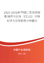 2025-2031年中國二氧化碳捕集利用與封存（CCUS）市場現(xiàn)狀與前景趨勢分析報(bào)告