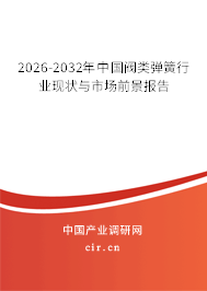 2026-2032年中國閥類彈簧行業(yè)現(xiàn)狀與市場前景報告