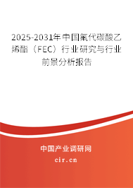 2025-2031年中國氟代碳酸乙烯酯（FEC）行業(yè)研究與行業(yè)前景分析報告
