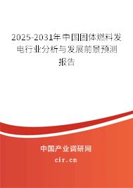 2025-2031年中國固體燃料發(fā)電行業(yè)分析與發(fā)展前景預(yù)測(cè)報(bào)告