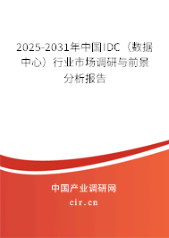 2025-2031年中國IDC（數(shù)據(jù)中心）行業(yè)市場調(diào)研與前景分析報(bào)告