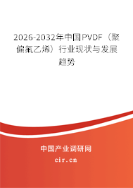 2026-2032年中國PVDF（聚偏氟乙烯）行業(yè)現(xiàn)狀與發(fā)展趨勢