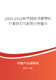 2025-2031年中國片狀模塑料行業(yè)研究與趨勢分析報(bào)告