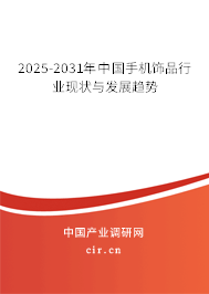 2025-2031年中國手機(jī)飾品行業(yè)現(xiàn)狀與發(fā)展趨勢