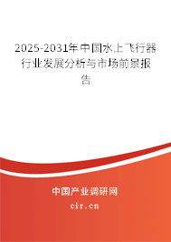 2025-2031年中國水上飛行器行業(yè)發(fā)展分析與市場前景報告