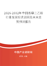 2026-2032年中國香草二乙胺行業(yè)發(fā)展現(xiàn)狀調(diào)研及未來走勢預(yù)測報(bào)告