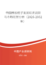 中國橡膠粒子發(fā)展現(xiàn)狀調(diào)研與市場前景分析（2026-2032年）