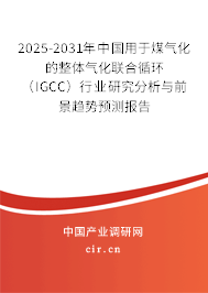 2025-2031年中國用于煤氣化的整體氣化聯(lián)合循環(huán)（IGCC）行業(yè)研究分析與前景趨勢(shì)預(yù)測(cè)報(bào)告