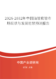 2026-2032年中國油管套管市場現(xiàn)狀與發(fā)展前景預(yù)測報告