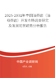 2025-2031年中國油頁巖（油母頁巖）開發(fā)市場調(diào)查研究及發(fā)展前景趨勢分析報(bào)告
