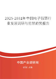 2025-2031年中國電子鋁箔行業(yè)發(fā)展調(diào)研與前景趨勢報(bào)告