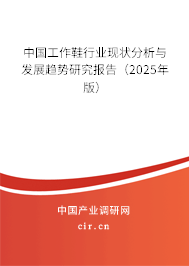 中國工作鞋行業(yè)現(xiàn)狀分析與發(fā)展趨勢研究報告（2025年版）
