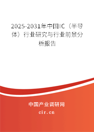 2025-2031年中國IC（半導(dǎo)體）行業(yè)研究與行業(yè)前景分析報告