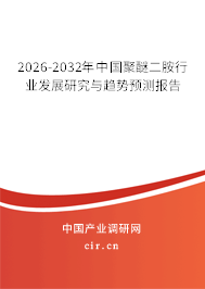 2026-2032年中國聚醚二胺行業(yè)發(fā)展研究與趨勢預測報告