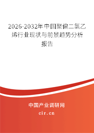 2026-2032年中國(guó)聚偏二氯乙烯行業(yè)現(xiàn)狀與前景趨勢(shì)分析報(bào)告