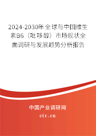 2024-2030年全球與中國維生素B6（吡哆醇）市場現(xiàn)狀全面調研與發(fā)展趨勢分析報告