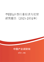中國鉆井泵行業(yè)現(xiàn)狀與前景趨勢報告（2025-2031年）