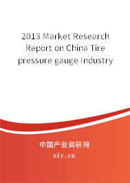 2013 Market Research Report on China Tire pressure gauge Industry 2013 Market Research Report on China Tire pressure gauge Industry