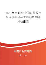 2024年全球與中國(guó)磁磚膠市場(chǎng)現(xiàn)狀調(diào)研與發(fā)展前景預(yù)測(cè)分析報(bào)告