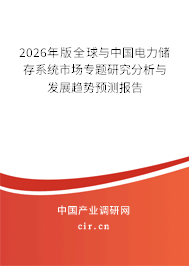 2026年版全球與中國電力儲存系統(tǒng)市場專題研究分析與發(fā)展趨勢預測報告