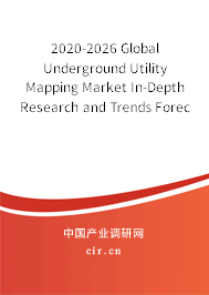 2020-2026 Global Underground Utility Mapping Market In-Depth Research and Trends Forecast Report