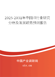 2025-2031年中國(guó)IT行業(yè)研究分析及發(fā)展趨勢(shì)預(yù)測(cè)報(bào)告
