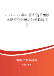 2024-2030年中國(guó)積雪草面膜市場(chǎng)研究分析與前景趨勢(shì)報(bào)告