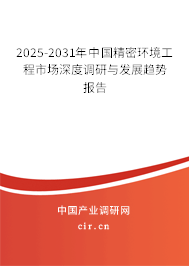 2025-2031年中國精密環(huán)境工程市場深度調(diào)研與發(fā)展趨勢報告