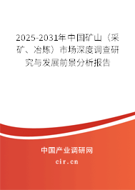 2025-2031年中國(guó)礦山（采礦、冶煉）市場(chǎng)深度調(diào)查研究與發(fā)展前景分析報(bào)告