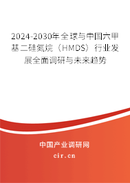 2024-2030年全球與中國六甲基二硅氮烷（HMDS）行業(yè)發(fā)展全面調(diào)研與未來趨勢