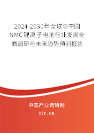 2024-2030年全球與中國NMC鋰離子電池行業(yè)發(fā)展全面調(diào)研與未來趨勢預(yù)測報告