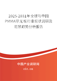 2025-2031年全球與中國PMMA導(dǎo)光板行業(yè)現(xiàn)狀調(diào)研及前景趨勢分析報(bào)告