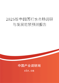 2025版中國蘇打水市場調研與發(fā)展前景預測報告