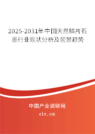 2025-2031年中國(guó)天然鱗片石墨行業(yè)現(xiàn)狀分析及前景趨勢(shì) 2025-2031年中國(guó)天然鱗片石墨行業(yè)現(xiàn)狀分析及前景趨勢(shì)