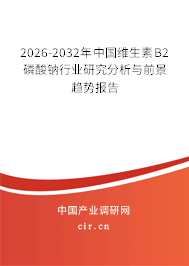 2026-2032年中國維生素B2磷酸鈉行業(yè)研究分析與前景趨勢報告 2026-2032年中國維生素B2磷酸鈉行業(yè)研究分析與前景趨勢報告