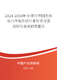 2024-2030年全球與中國(guó)無(wú)線電力傳輸系統(tǒng)行業(yè)現(xiàn)狀深度調(diào)研與發(fā)展趨勢(shì)報(bào)告