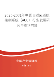 2025-2031年中國自適應(yīng)巡航控制系統(tǒng)（ACC）行業(yè)發(fā)展研究與市場前景