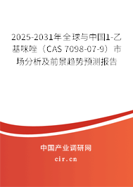 2025-2031年全球與中國1-乙基咪唑（CAS 7098-07-9）市場分析及前景趨勢預(yù)測報告
