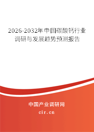 2026-2032年中國碳酸鈣行業(yè)調(diào)研與發(fā)展趨勢預(yù)測報告 2026-2032年中國碳酸鈣行業(yè)調(diào)研與發(fā)展趨勢預(yù)測報告