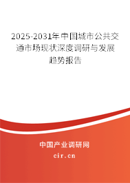 2025-2031年中國(guó)城市公共交通市場(chǎng)現(xiàn)狀深度調(diào)研與發(fā)展趨勢(shì)報(bào)告