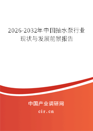 2026-2032年中國抽水泵行業(yè)現(xiàn)狀與發(fā)展前景報告