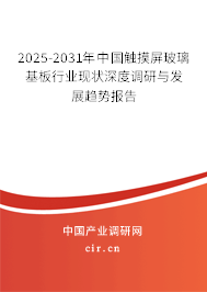 2025-2031年中國觸摸屏玻璃基板行業(yè)現(xiàn)狀深度調(diào)研與發(fā)展趨勢報告 2025-2031年中國觸摸屏玻璃基板行業(yè)現(xiàn)狀深度調(diào)研與發(fā)展趨勢報告