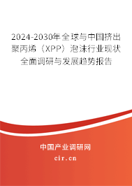 2024-2030年全球與中國擠出聚丙烯(XPP)泡沫行業(yè)現(xiàn)狀全面調(diào)研與發(fā)展趨勢報(bào)告 2024-2030年全球與中國擠出聚丙烯(XPP)泡沫行業(yè)現(xiàn)狀全面調(diào)研與發(fā)展趨勢報(bào)告