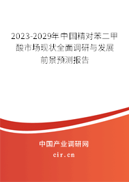 2023-2029年中國精對苯二甲酸市場現(xiàn)狀全面調(diào)研與發(fā)展前景預(yù)測報(bào)告