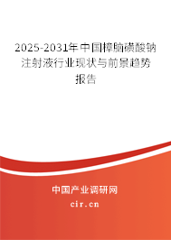 2025-2031年中國樟腦磺酸鈉注射液行業(yè)現(xiàn)狀與前景趨勢報(bào)告 2025-2031年中國樟腦磺酸鈉注射液行業(yè)現(xiàn)狀與前景趨勢報(bào)告