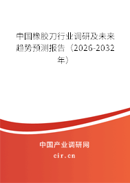 中國橡膠刀行業(yè)調(diào)研及未來趨勢預測報告（2026-2032年）
