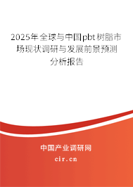 2025年全球與中國pbt樹脂市場現(xiàn)狀調(diào)研與發(fā)展前景預(yù)測分析報告
